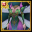 Green Fairy Dress (Female)